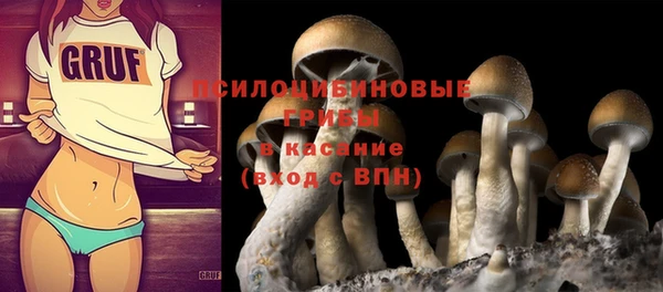 таблы Алексеевка
