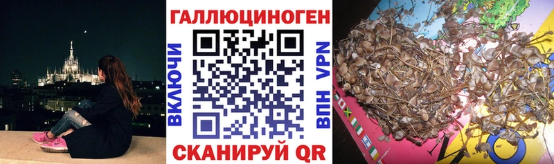 Галлюциногенные грибы MAGIC MUSHROOMS  blacksprut онион  Динская 